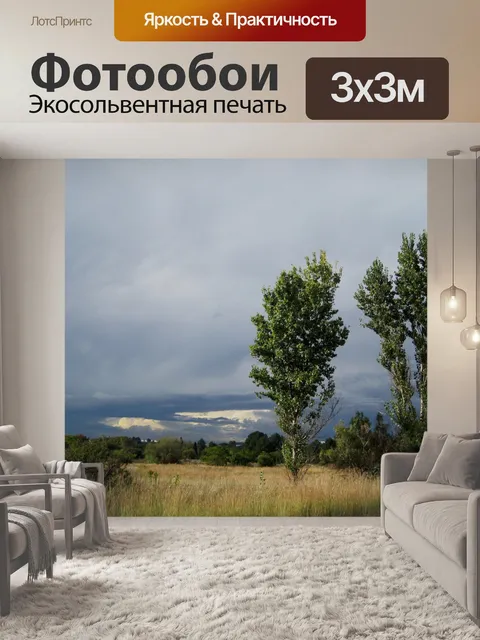 Фотообои темные облака с деревьями и Вельд