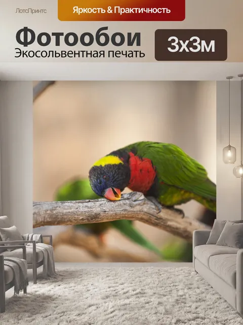 Фотообои Птица