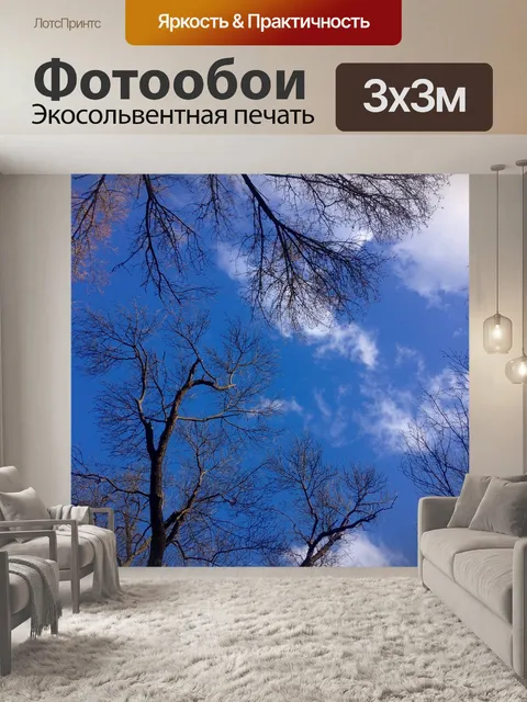 Фотообои Небо