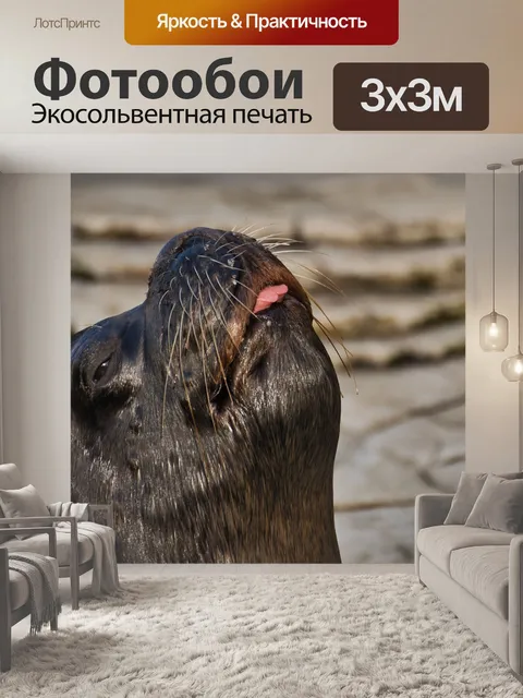 Фотообои Животное