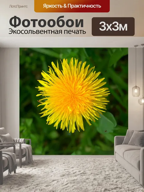 Фотообои Одуванчик