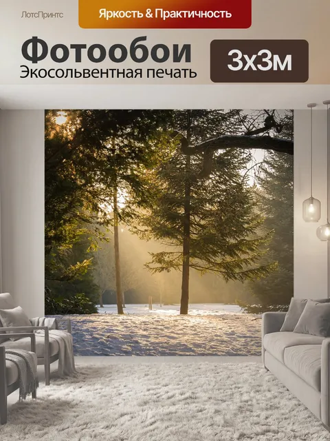 Фотообои Лес
