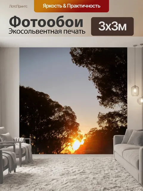 Фотообои заходящее солнце за деревьями