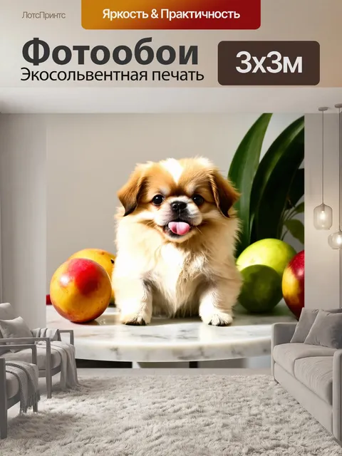 Фотообои щенок пекинеса с маленьким язычком, лежит на белом мраморном столе, окруженный свежими фруктами