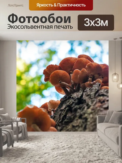 Фотообои Лес