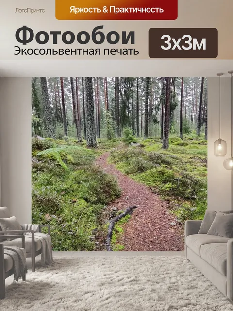 Фотообои Залезть в лес
