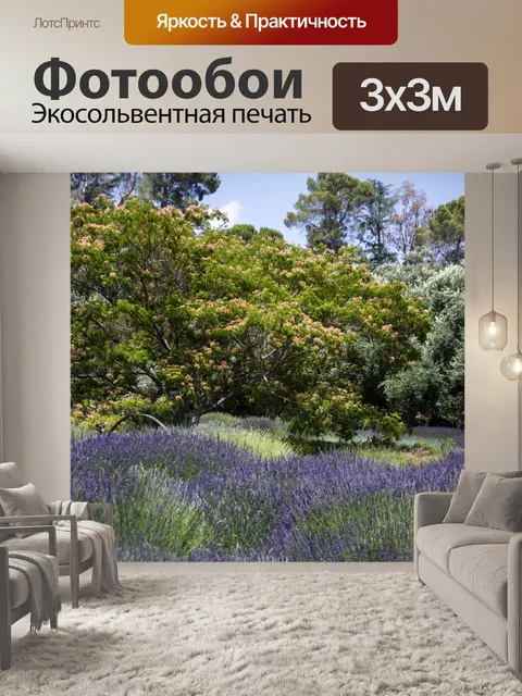 Фотообои Английские Лавандовые Поля