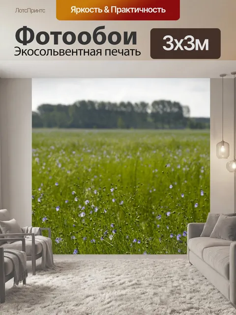 Фотообои Цветы