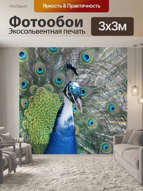 Фотообои Павлин