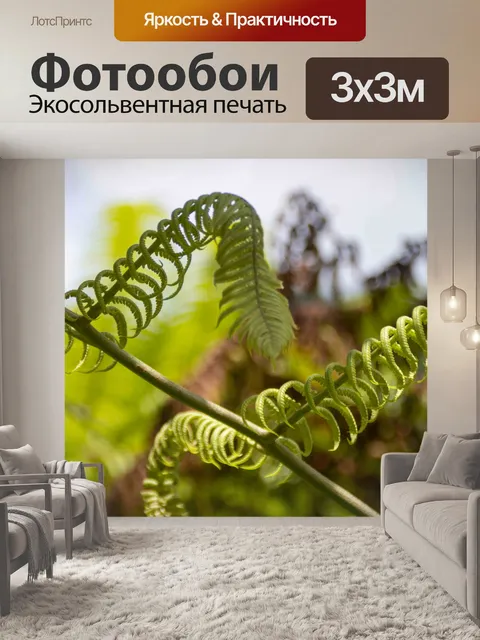 Фотообои Страус папоротник