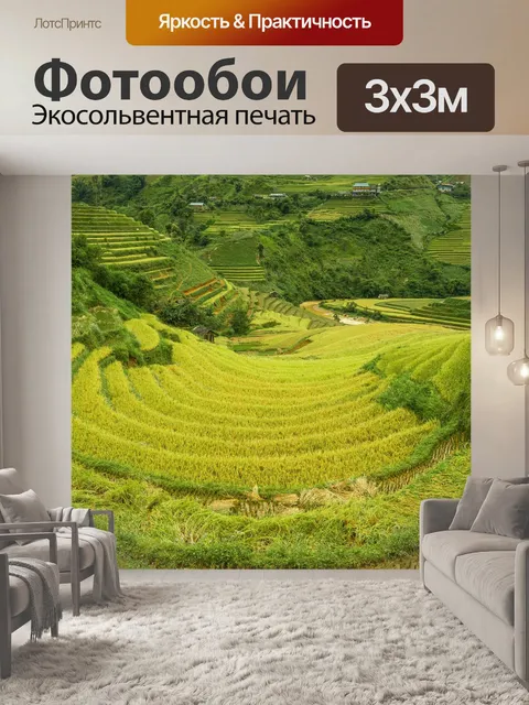 Фотообои Рисовые поля
