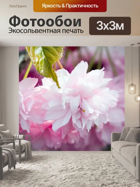 Фотообои Розовый цвет Цветы