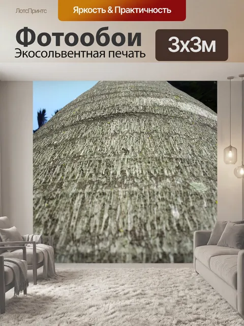 Фотообои пальма остановить близкий вид
