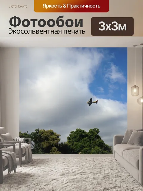 Фотообои Самолет