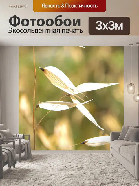 Фотообои Травы в полдень