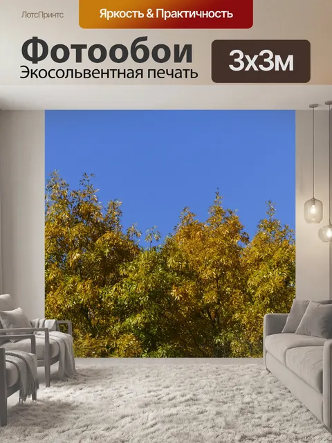 Фотообои Дерево верхняя граница