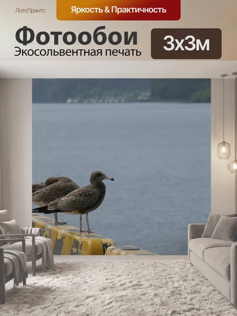 Фотообои Птица