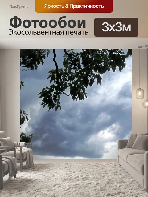 Фотообои темные облака с листвы силуэт