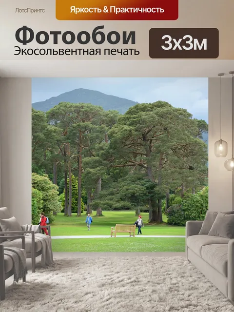 Фотообои Деревья