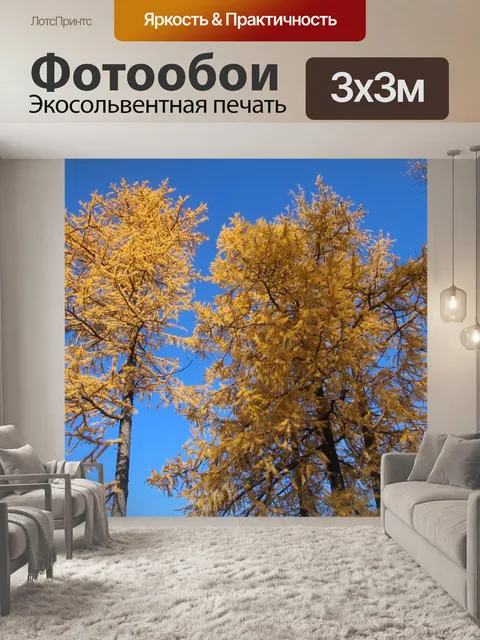 Фотообои Осень