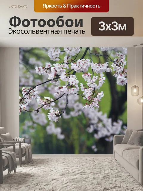Фотообои Вишни в цвету