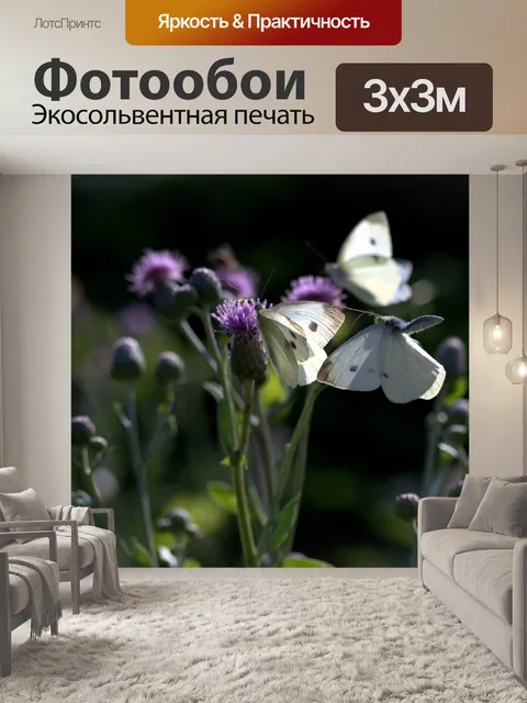 Фотообои Бабочки