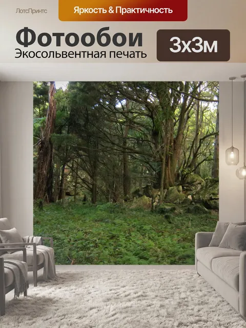 Фотообои Древний лес