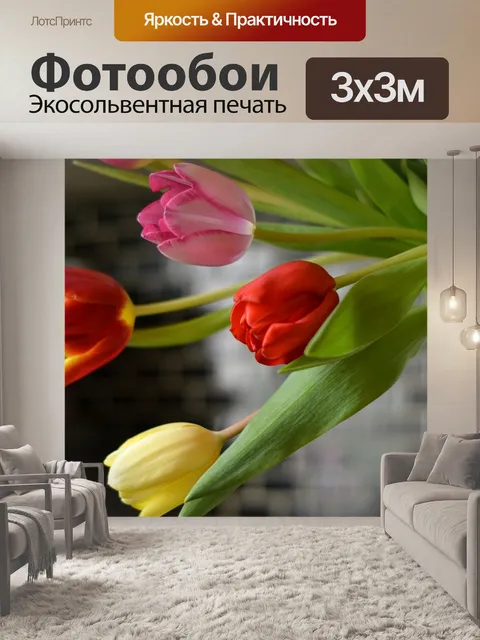 Фотообои Тюльпаны