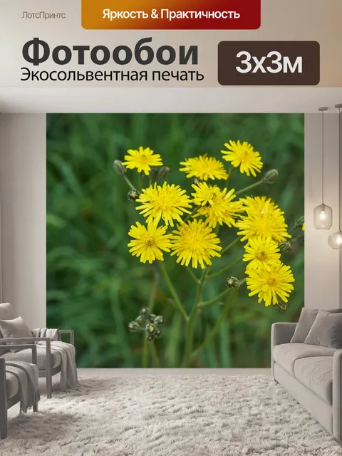 Фотообои Полевые цветы