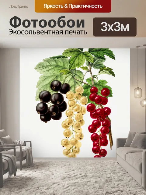 Фотообои Фрукты старинное искусство
