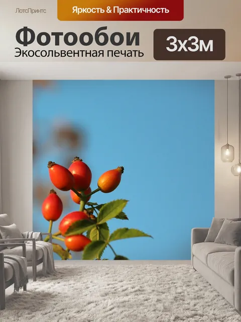 Фотообои Шиповник