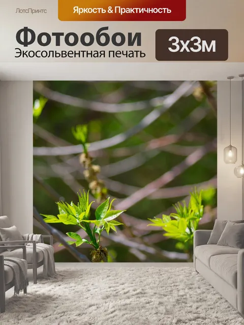 Фотообои Дерево
