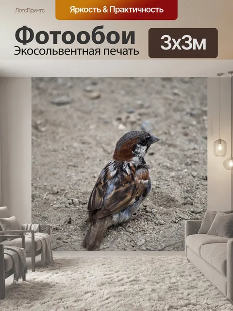 Фотообои Воробей