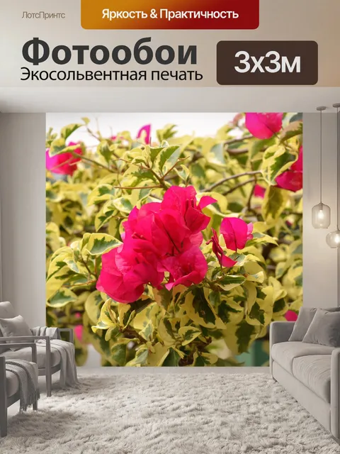Фотообои Цветы