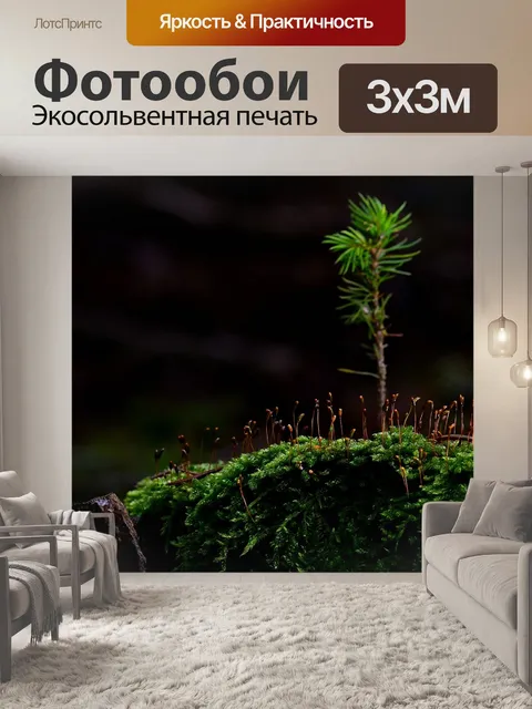 Фотообои Лес