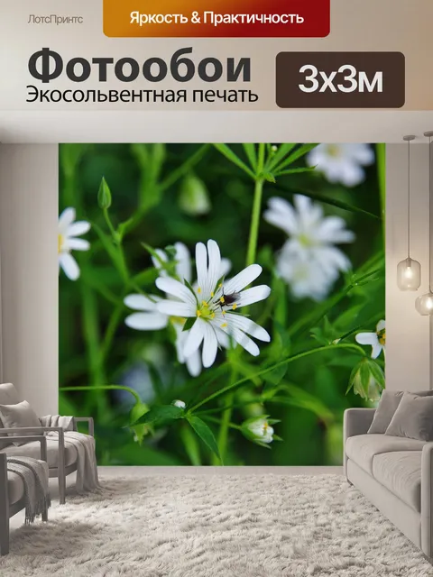 Фотообои Цветы