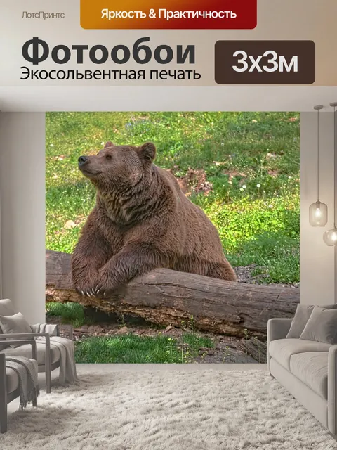 Фотообои Медведь