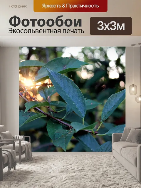 Фотообои Вечер