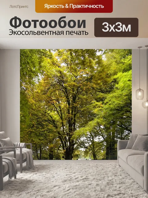 Фотообои Лес