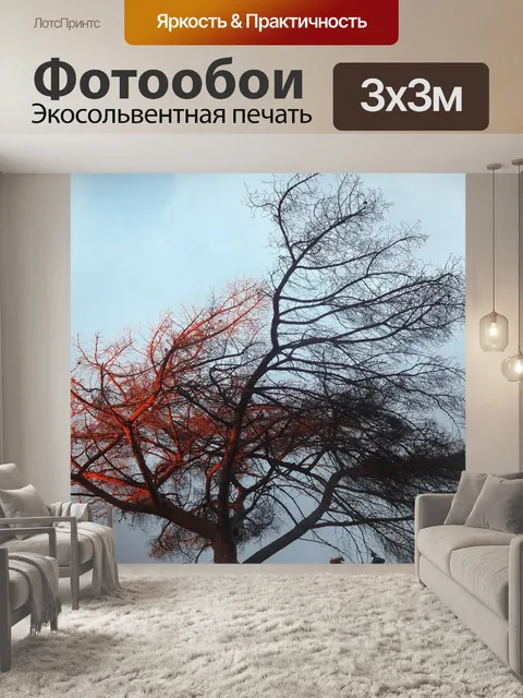 Фотообои Дерево