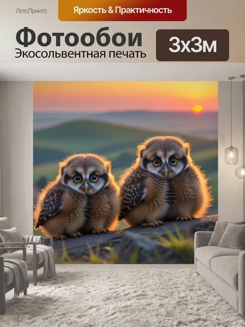 Фотообои совята, наблюдающие за закатом на холме