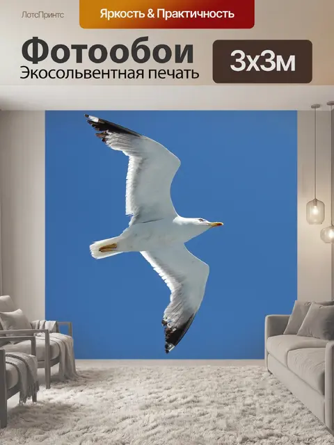 Фотообои Птица