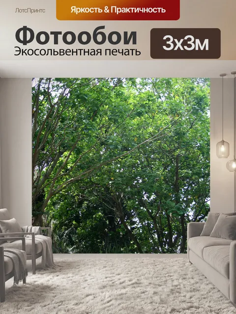 Фотообои зеленые деревья