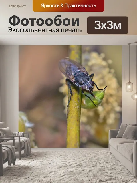Фотообои Сад