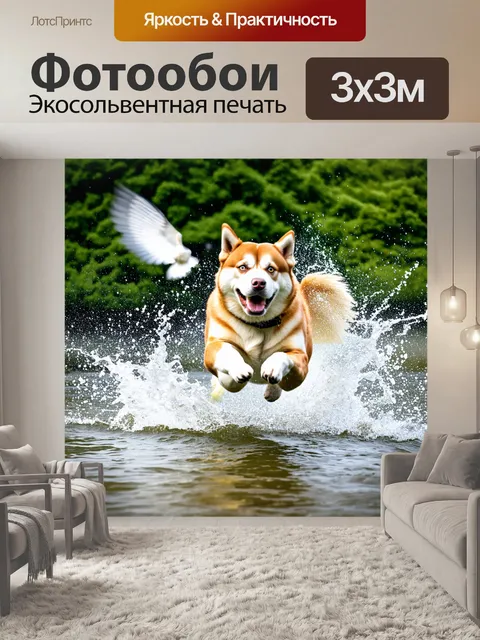 Фотообои громкий взрыв эмоций, когда акита-ину прыгает в воду, брызги летят вокруг