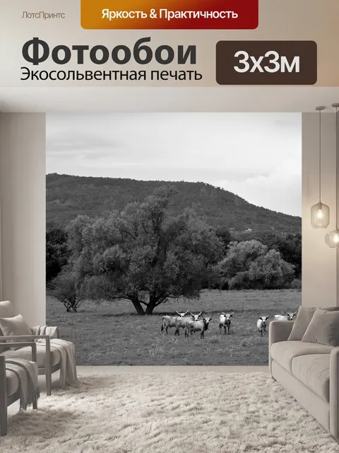Фотообои Черный белый