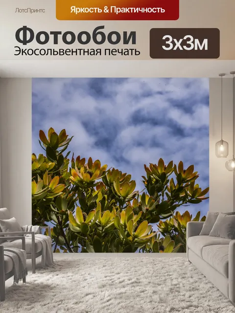Фотообои История облаков и растений