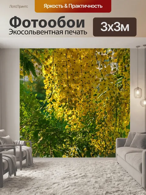 Фотообои Слоны хоботом