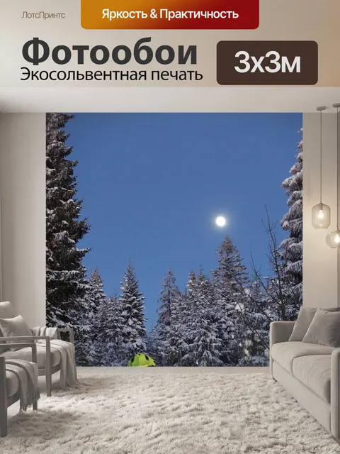 Фотообои Зима