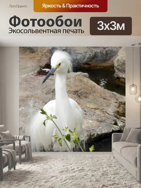 Фотообои Снежная цапля